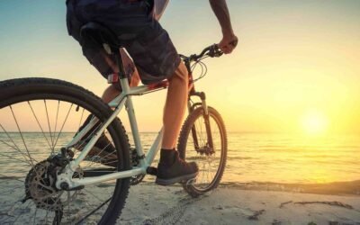 #478: Bumps, Bats…and Bras