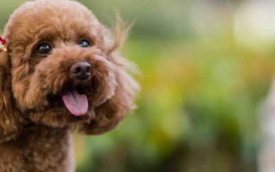 #487: How Many People Know?