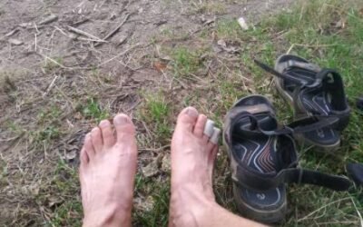 #507: Question Two is the One