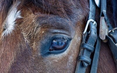 #511: The Day a Bike Looked Sexy