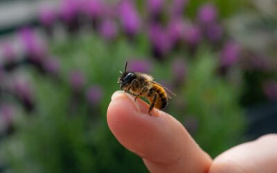 #508: The Day I Joined the Circus