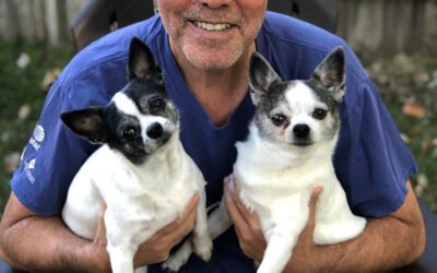 #466: Patience, Oh Human Big Dog