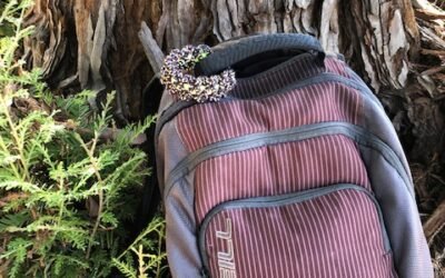 Blog #521: And Then I Saw Them