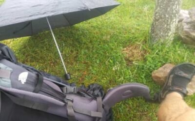 Blog #525: Brain Camping in Bonkersville