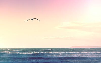 Blog #530: I Saw Him…Again