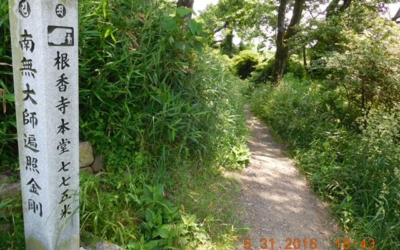 Blog #549: My Indiana Jones-Like Search