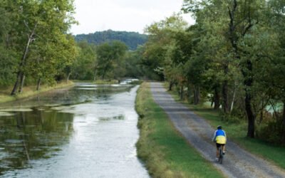 Blog #554: Zig, Oprah and the Littlest Shopper