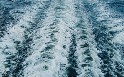 Blog #566: The Big Gun-Carrying Big Guy