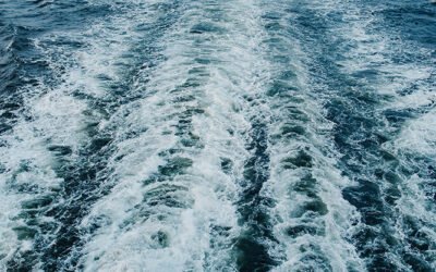 Blog #718: A Week’s Difference