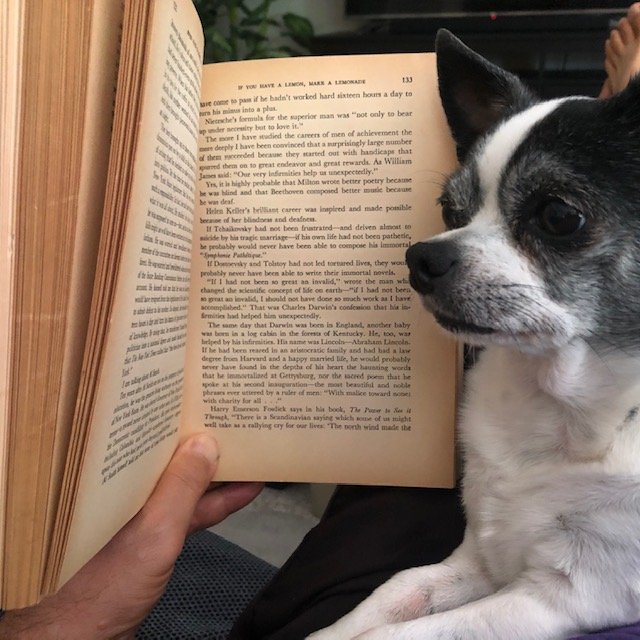 Blog #722: My Race Against the Clock