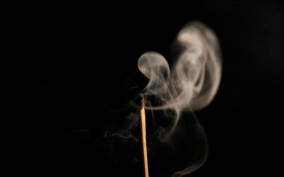 Blog #719: Yelling Screaming Shouting