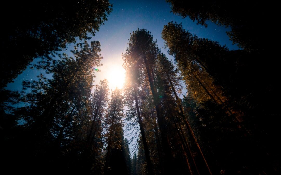 Blog #723: One Last One