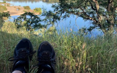 Blog #727: The Ones That Haunt