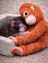 AUDIO #733: Have You Met Punch?