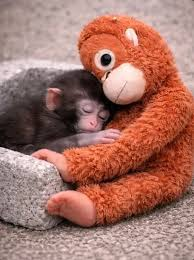 AUDIO #733: Have You Met Punch?