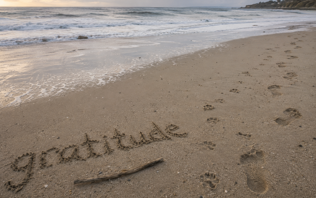 Audio #744: What I See Every Thursday