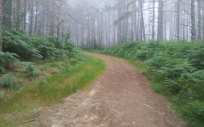 Blog #755: Don’t Walk Past Yoursel
